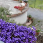 Terrerosse Di Massadita Alojamento de Turismo Rural *