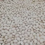 Terrerosse Di Massadita Farma Aieta
