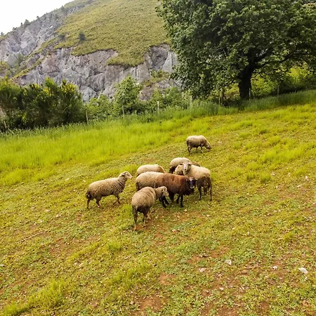 Terrerosse Di Massadita *