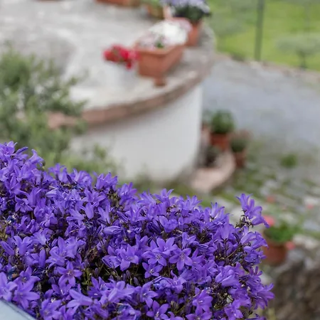 Terrerosse Di Massadita Vakantieboerderij *