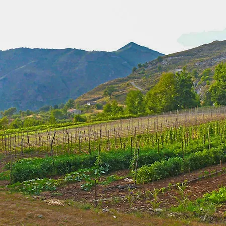 Terrerosse Di Massadita ファームステイ