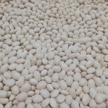Terrerosse Di Massadita Vakantieboerderij Aieta