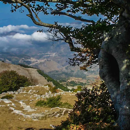 Terrerosse Di Massadita Aieta