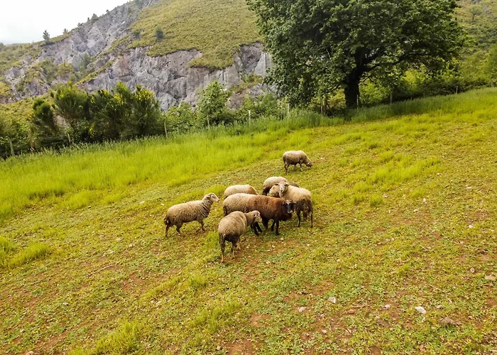 Terrerosse Di Massadita *