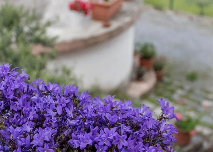 Terrerosse Di Massadita Alojamento de Turismo Rural *
