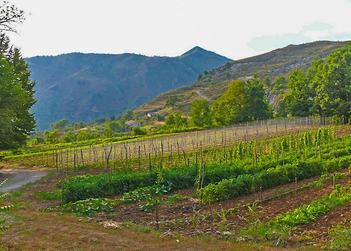 Terrerosse Di Massadita Alojamento de Turismo Rural