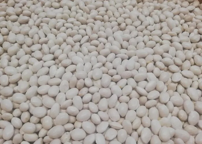 Terrerosse Di Massadita Alojamento de Turismo Rural Aieta